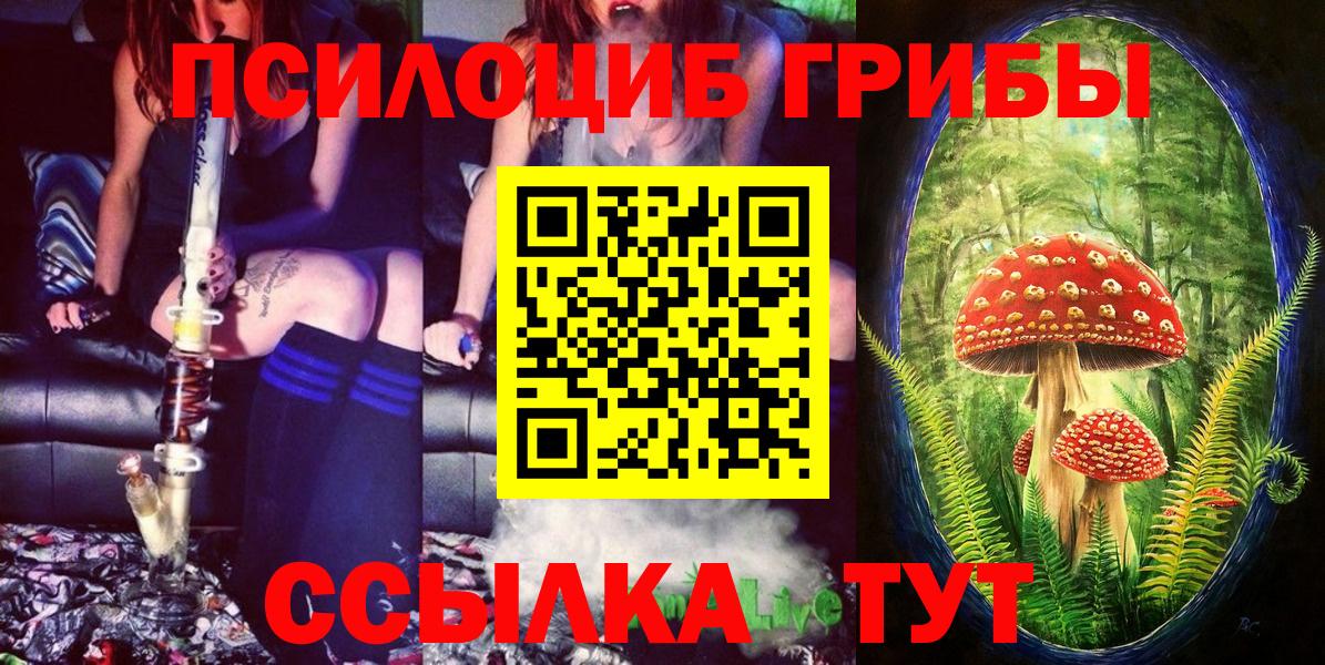Галлюциногенные грибы Cubensis Каменск-Шахтинский