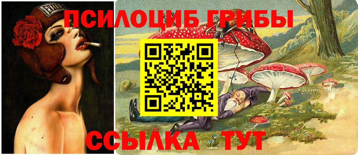 Каменск-Шахтинский  где продают наркотики  Вход с VPN  Псилоцибиновые грибы мухоморы  Галлюциногенные грибы GOLDEN TEACHER 