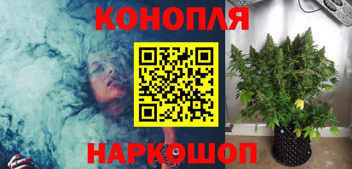 Бошки Шишки семена Каменск-Шахтинский